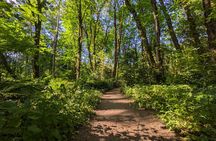 Tryon Creek Eco-tour With a Master Naturalist 