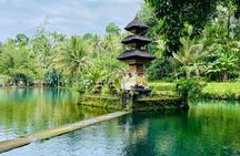 Ubud VW Tour with Monkey Forest and Cooking Class