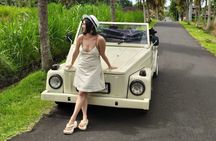Ubud VW Tour with Monkey Forest and Cooking Class