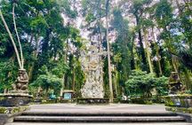 Ubud VW Tour with Monkey Forest and Cooking Class
