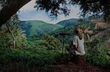 2-Day Chimpanzee Trekking at Gombe National Park