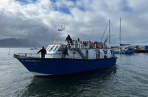 Hermanus Whale Watching Shoreline Activity 
