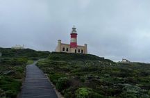 Oceans Meet Penguins at the Southernmost Cape Agulhas Tour 