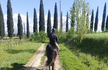 Tuscany Horseback Riding Experience in Buonconvento