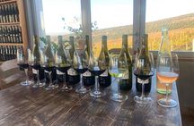 Zvernec Monastery, Apollonia and Wine Tasting From Vlora