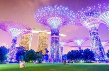 Singapore River Cruise, Night Garden Rhapsody, Spectra Light Tour
