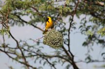 Victoria Falls Adventure for 3 Days Shared tours 