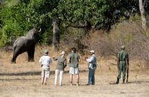 Rhino Game Drive in Mosi-oa-Tunya National Park