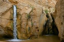 4x4 Adventure in Southern Tunisia Oasis and Rising Star Wars