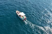 Private Boat Tour of the Portofino Riviera 4 hours