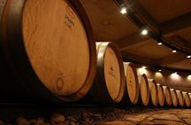 Catena Zapata Experience and lunch in a Michelin Guide Restaurant