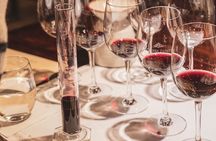 Catena Zapata Experience and lunch in a Michelin Guide Restaurant