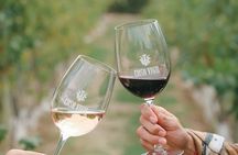 Casa Vigil, The Enemy Full Day Experience , Tastings & Lunch