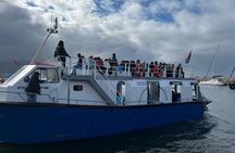 Cape Town City and Garden Route Wildlife Reserves Multi Day Tour