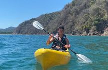 Kayak Tour of Curú's Mangrove and Bay Ecosystem