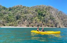 Kayak Tour of Curú's Mangrove and Bay Ecosystem