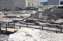 "Guided Tour Plus" EN Ruins "TEMPLE MAJOR" with OFFICIAL GUIDES