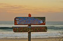 Fat Bike Adventure in Floripa: Beaches, Dunes and Eco Safari