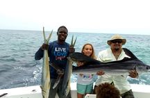 Deep sea fishing in Punta Cana and Bávaro.