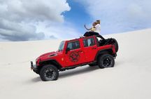 Atlantis dunes Jeep luxury Tours in Cape Town 