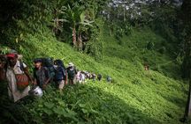 11 Day Kokoda Trek Australian and Local Guides
