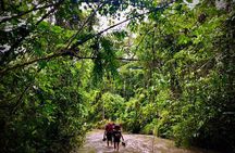 11 Day Kokoda Trek Australian and Local Guides