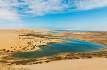 Fayoum Oasis Journey Echoes of Nature