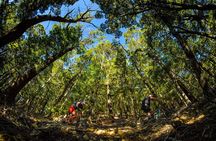 3 Day Shuttle MTB Weekend Adventure in Nelson