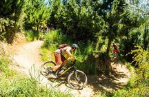 3 Day Shuttle MTB Weekend Adventure in Nelson
