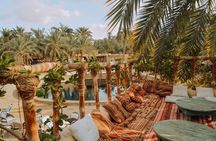 3-Day Siwa & El Alamein Luxury Tour from Cairo