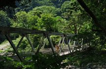 Hakone Valley Hike, Forest Bathing and Wagashi shop (Half-day)