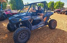 Evening Desert Safari Dubai Dune Bashing Camel Ride and BBQDinner