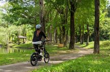 E Bike in Yuzawa Mountain Views Lake Daigenta and Rice Terraces