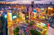 Perfect for First-Time Visitors Private Tokyo Highlights Tour