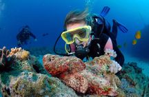 Diving Exploration around the Pass of Belle Mare Mauritius