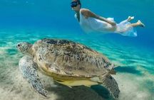 Marsa Mubarak Snorkeling Adventure with Optional Diving