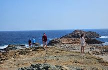 Mykonos Island Private Tour | Explore Like a Local in 4 Hours