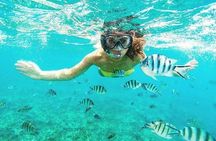 Snorkel in the Crystal Waters of Zanzibar 