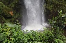 Colombia’s Tallest Waterfalls: La Chorrera Hike