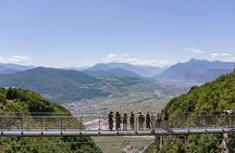 Visit of the vineyard on Mount Mezzocorona and tasting of 3 wines