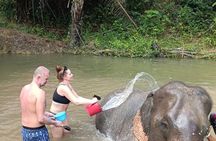 Experience Krabi Elephant care and bath in Ao Nang