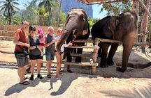 Experience Krabi Elephant care and bath in Ao Nang