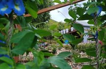 Infused Gin and Chocolate Tasting