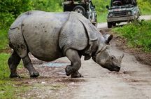 3 Days Kaziranga National Park Wildlife Adventure with Safaris