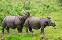 3 Days Kaziranga National Park Wildlife Adventure with Safaris