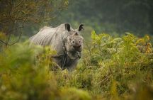 3 Days Kaziranga National Park Wildlife Adventure with Safaris