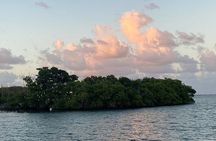 Guided Kayak Tour of Salt River Bay Ecology and History
