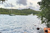 Guided Kayak Tour of Salt River Bay Ecology and History