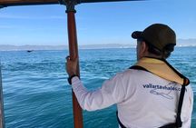 Whale Watching Experience in Puerto Vallarta