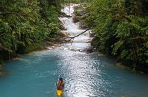 Discover the Magical Blue Falls in a Day Trip Adventure 